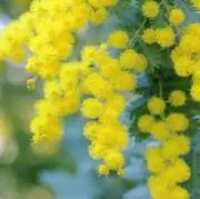 rinrinrinsanの画像