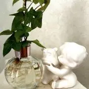 ぷっぷるの画像