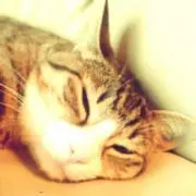ちなつ