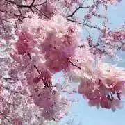 夏※プロフ一読推奨の画像