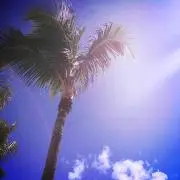 NAOの画像