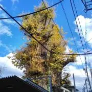 小林　歩