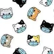 みみみ((まとめ買い申請大歓迎!!))の画像