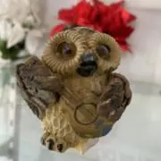 ヒラの画像