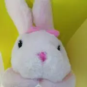 ピンクうさぎ