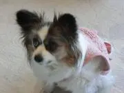 ちくわパン大好きの画像