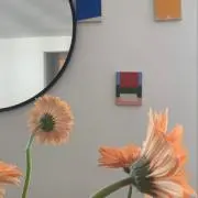 m_moma