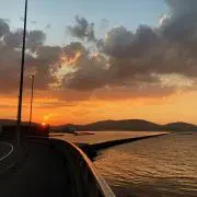 Sachiの画像