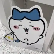YUKIの画像