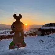 かさこの画像