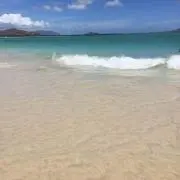 モタリケの画像