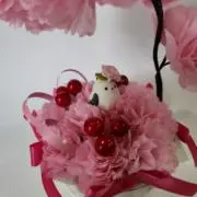 Calenの画像