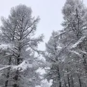 ykmhysの画像