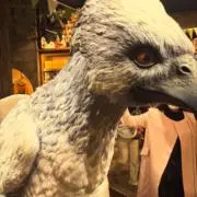 ぶぅの画像