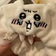 phyの画像