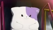 プラムの画像