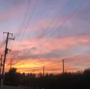 Rの画像
