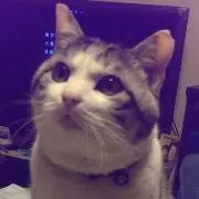 まるのダンナの画像