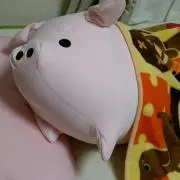 ブー子