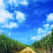 2332の画像