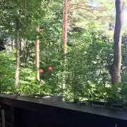 モルの画像