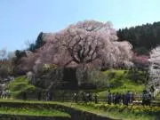 農民の画像