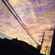 ささみ