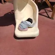 シズク