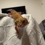 たかみざわ