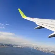 だーちの画像