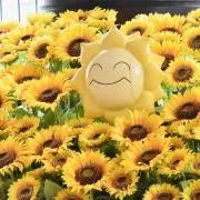 Rちゃんの画像