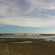 はな