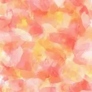 Image of *REIA*
