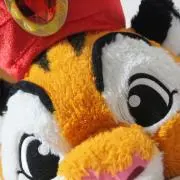 ゆの画像