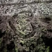 なにぬの画像