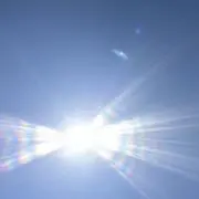 タネボー！