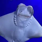 #キャナタ#の画像
