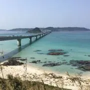 はるのの画像