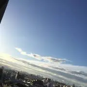 アッコの画像