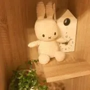 はるの画像