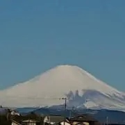 青Ｆの画像