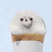 いぬ ※値下げ×の画像