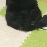 太郎の画像