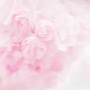 ちびデビ
