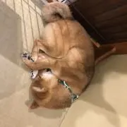 枝豆★値下げ依頼応じがちな人の画像