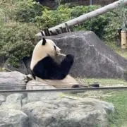 miiimaの画像