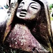 すの画像