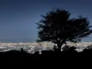 わっさーの画像