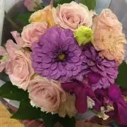 y!!