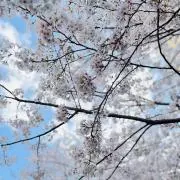あいおの画像